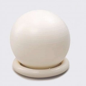 Pelotas de Ejercicio Personalizadas con Logo – Pelotas ...