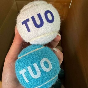 Pelotas de Tenis Personalizadas con Logo – Productos Pr...
