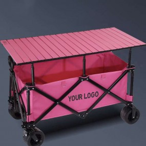 Carritos de Mano Personalizados con Logo – Carritos Pro...